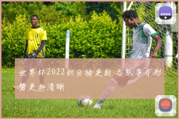 世界杯2022积分榜更新 各队争夺形势更加清晰